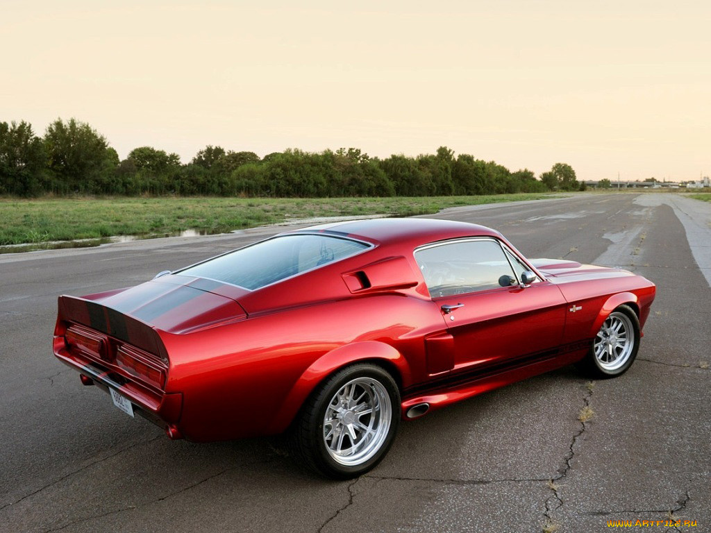 , mustang